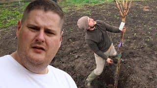 Faültetés Mesterfokon 🌳