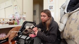 Packing For My First Work Trip To Nyc!