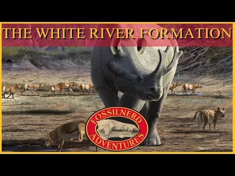The White River Formation: A Paleo Analysis Special Presentation