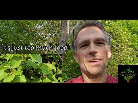 We Are Growing Too Much Food!