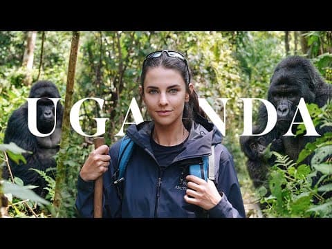 I Travelled Across The World To Find Wild Gorillas | This Is Uganda 🇺🇬