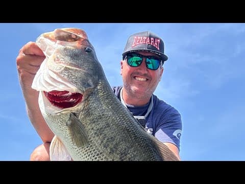 Trigger Bigger Bass!