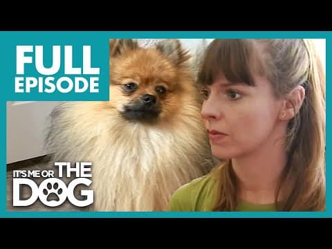 This Dog Is Ruining His Owner's Marriage | Full Episode | It's Me Or The Dog