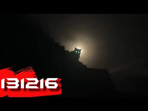 Video From 131216 #3