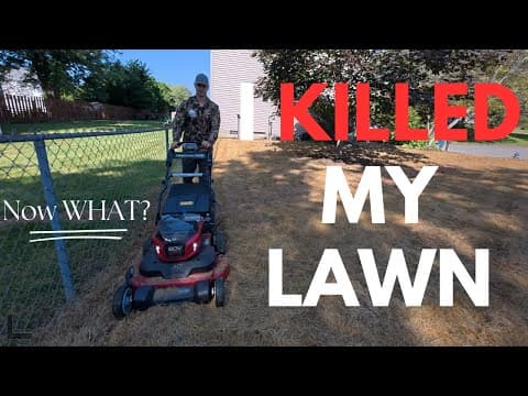 I Kiilled My Lawn!! // Lawn Reno Round 2
