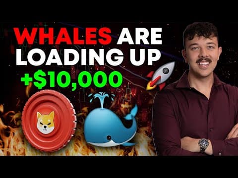 Shiba Inu Coin Whales Are Loading Up For $0.01