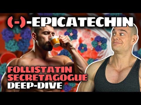 Is Epicatechin A Worthy Half-natty Follistatin-secretagogue With Steroid-like Gains?