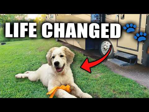 The New Way We Found Hope After Losing Our Best Friend