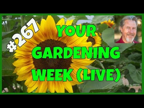 The End Of The Gardening Season (q&a)