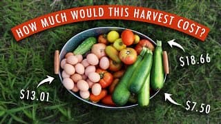 How Much Is A Garden Worth? Here's How Much This Harvest Could Cost From A Grocery Store