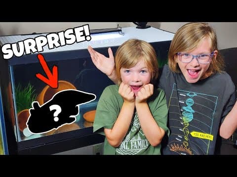 New Pet Axolotl Was A Surprise For My Kids!