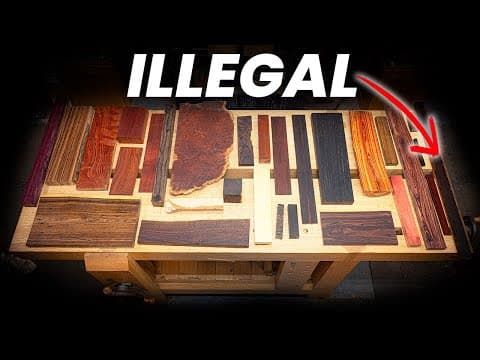 The Most Expensive Woods In The World