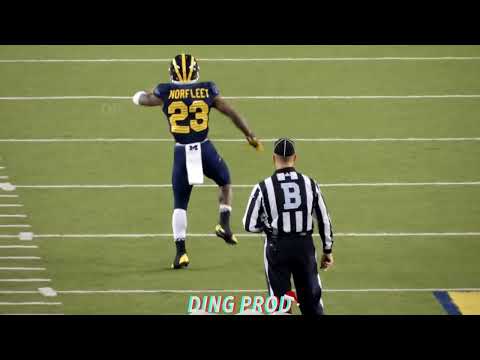 When Football Players Interact With The Fans/moments That Will Give You Chills