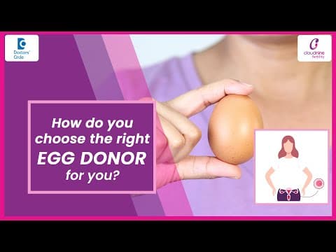 Egg Donor Ivf | The Safest Way To Conceive Easily When Nothing Else Works - Doctors' Circle