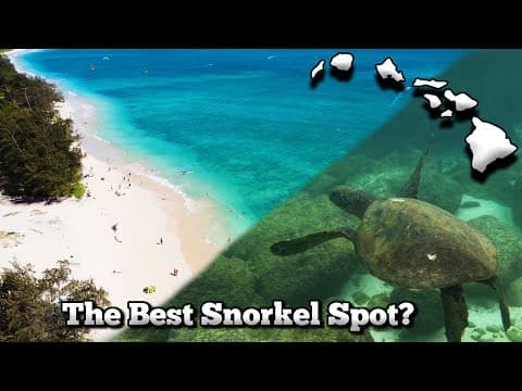 Swimming With Finding Nemo Characters - Hawaii Vlog #6 (kailua Beach, Shark's Cove)