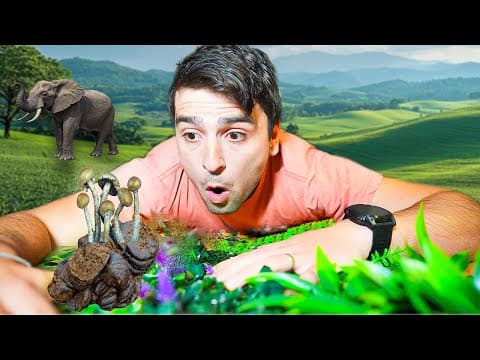 I Tried Finding God In Elephant Poop Mushrooms | Thailand Doco