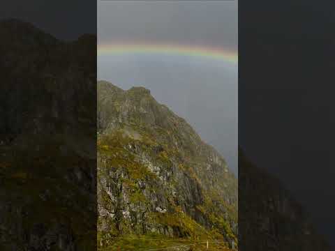 Starting the year with something special ❤️ #Shorts #Nature