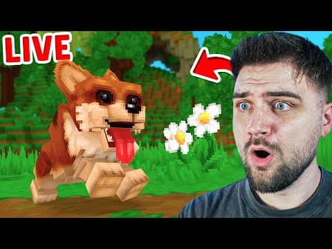 Minecraft 2 Se Lanseaza (hytale) Este Aici!