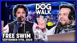 Do Girls Hate Fish Tanks? + Minor Car Accident Etiquette (free Swim)