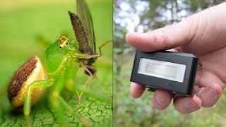 Godox It30 Pro For Macro Photography? This Tiny Flash Surprised Me!