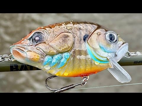 Conjoined Species Fishing Lure