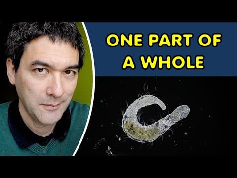 The Worm That Refuses To Stay One