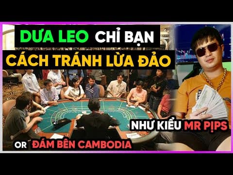 Dưa Leo Chỉ Bạn Cách Tránh Lừa Đảo [dưa Leo Dbtt]