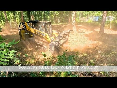 Forestry Mulcher Vs Years Of Brush - You Won't Believe What We Found!