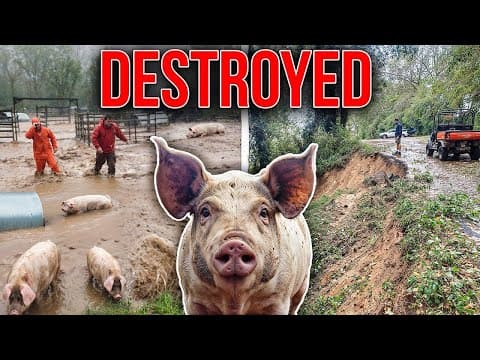 This Farm Got Destroyed By A Hurricane, So They Did This