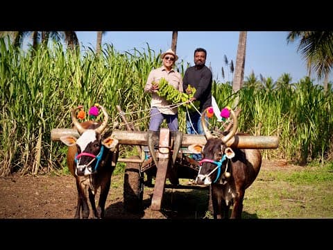 This Engineer Returned From The Us To Build An Organic Movement! 12,000 Farmers! Organic Mandya