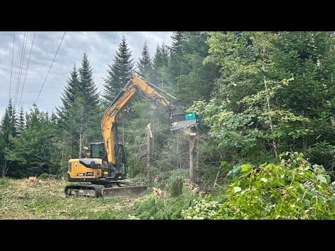 Ferntree C4 Ff40 Mulcher On Sany Sy80u Excavator. This Thing Rocks!