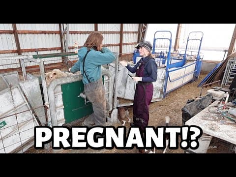 The Results Are In!!  ...so Let The Planning Begin!!