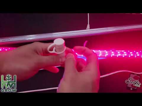 Uv & Ir Lighting On Potency - Myth Or Science? Help Me Conduct A Home Bro Scientific Comparison!