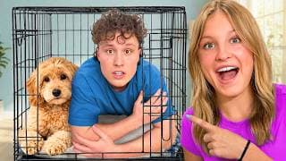 My Dog Controls My Life For 24 Hours!