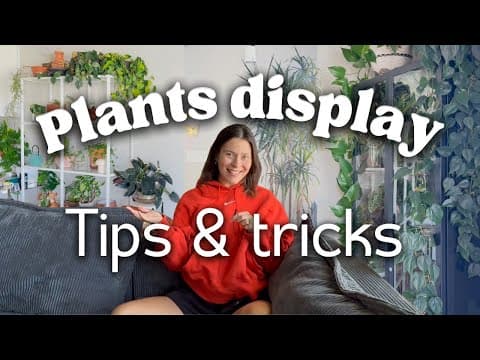 How I Display My Houseplants