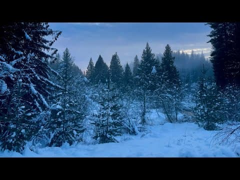 Sometimes The Adventure Chooses You