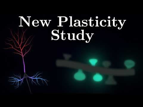 Why Different Neuron Parts Learn Differently?