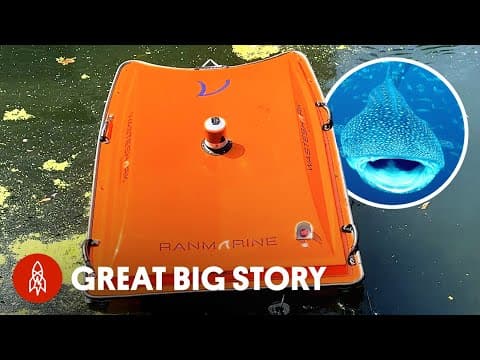 Meet The Eco Robot Fighting Pollution