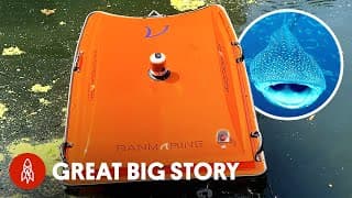 Meet The Eco Robot Fighting Pollution