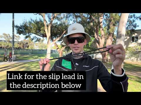 How And Why To Use A Slip Lead To Train Your Dog.