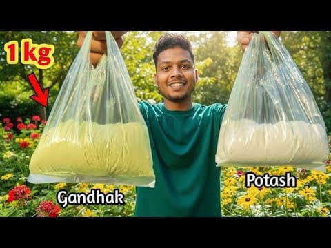 घर पर बनाओ गंधक पोटाश 💥 | Gandhak Potash Power | Potash Gun Powder | Pipe Gun Powder | Diwali Gun