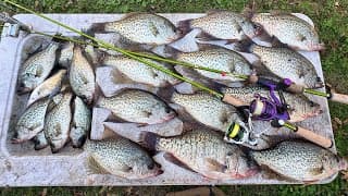 Loaded The Boat With Fall Crappie!!! This Simple Setup Is Money!