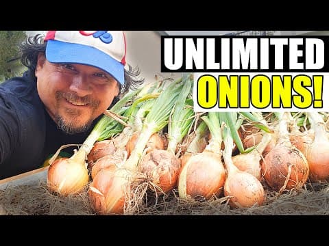 Harvesting Onions: The Complete Guide