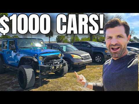 We Found Cheap Cars At The Auction | Getting A Dealer License Update