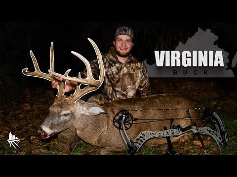The Big 8: City Buck Down!!