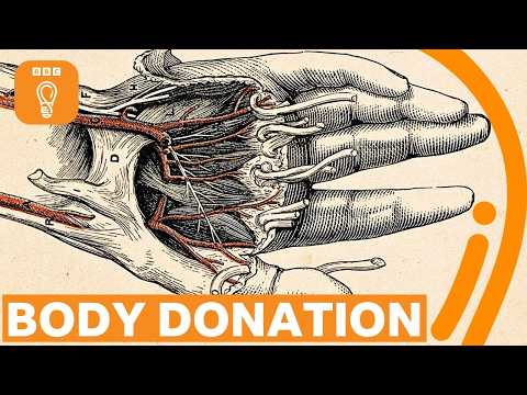 Would You Donate Your Body To Science? | Bbc Ideas