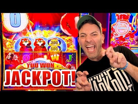 Random Bonus Leads To So Many Wilds