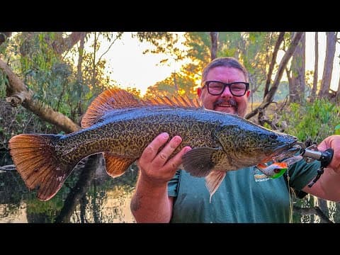 Murray Cod Fishing With Blue Dog Lures...  Laugh All You Like!