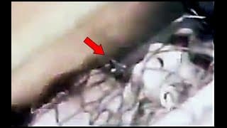 The Clearest Video Of The Varginha Brazil Alien Was Just Released...