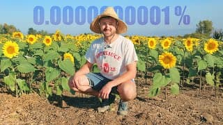 Farmer Grows 1 Billion Sunflowers